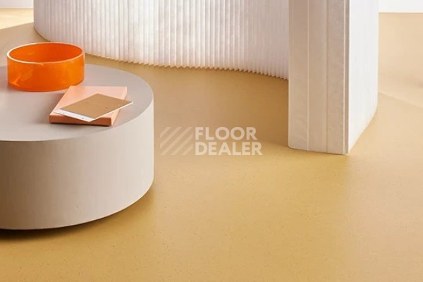 Линолеум Marmoleum Solid Cocoa 3587 curcuma фото 2 | FLOORDEALER